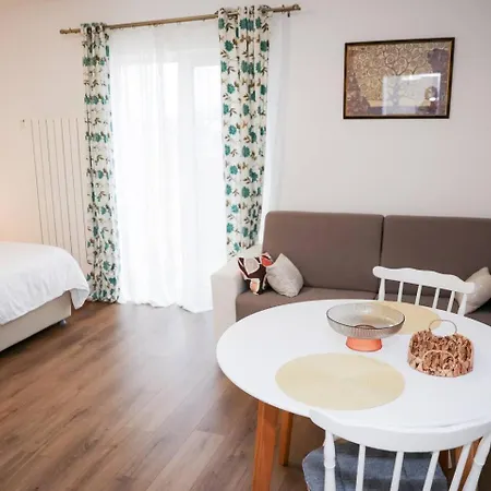 Apartament Teo's Place *